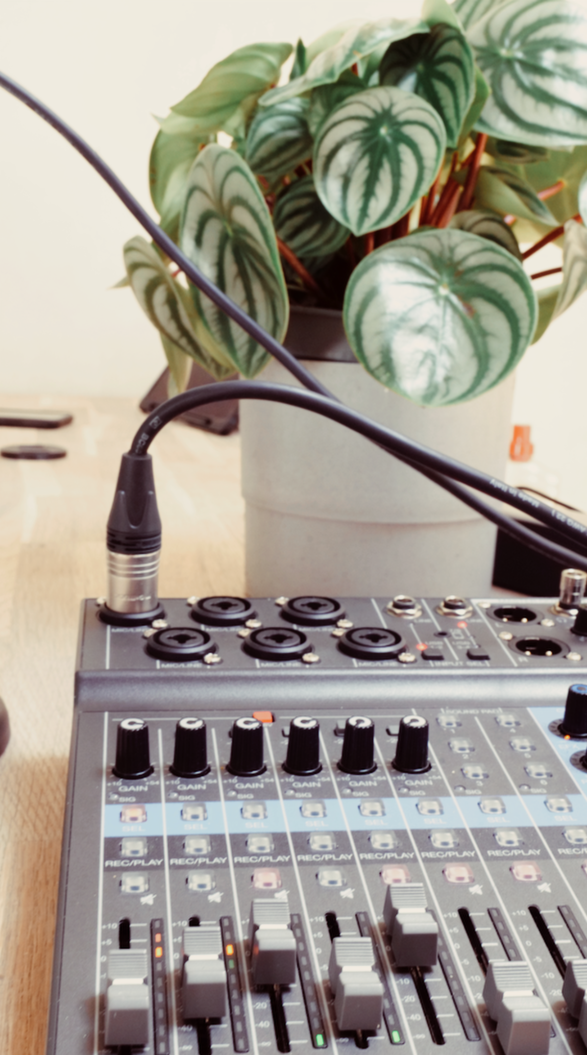 Plant with Mixer